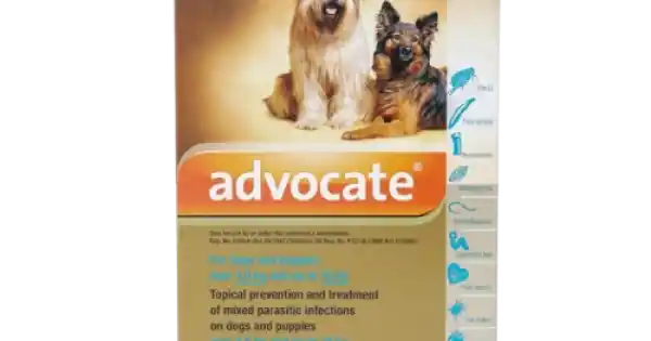 Advocate Caine 4-10 kg, 1 pipeta Preț promoțional